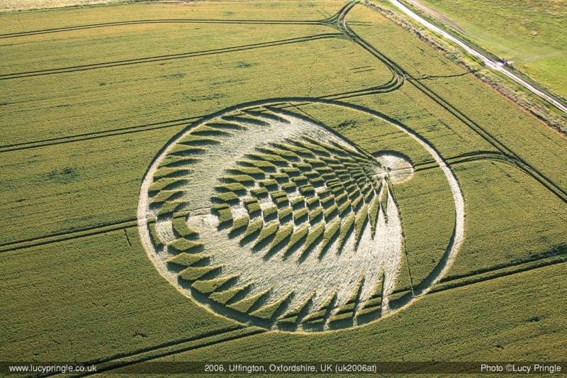 cropcircle116